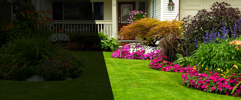Webster Landscapers