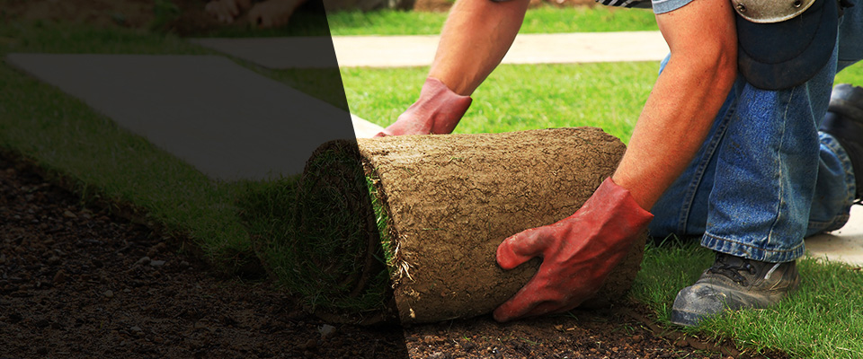 Webster Landscapers